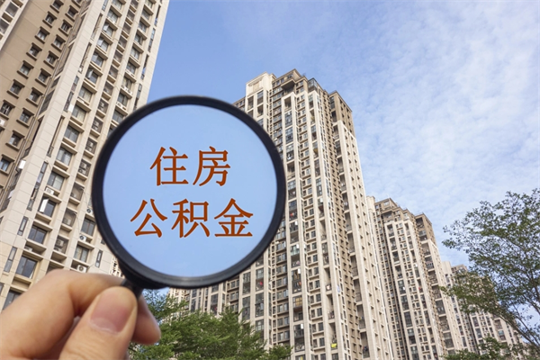 渑池离职后公司不给转公积金怎么办（离职后公司不给转社保怎么办）